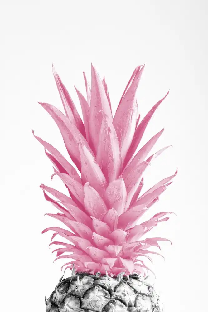 Studio, Pictufy: Pinapple Pink 03