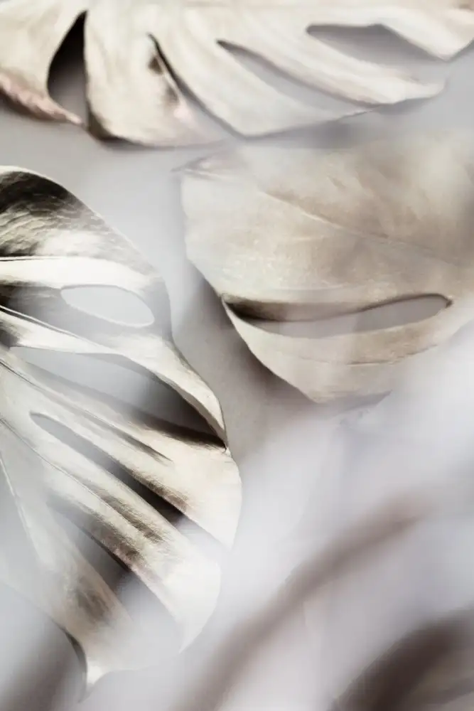 Studio, Pictufy: Monstera Gold 02