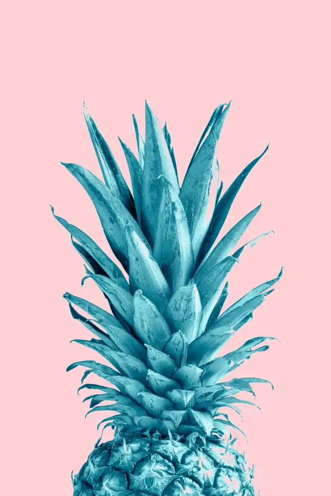 Studio, Pictufy: Rosa ananas 07