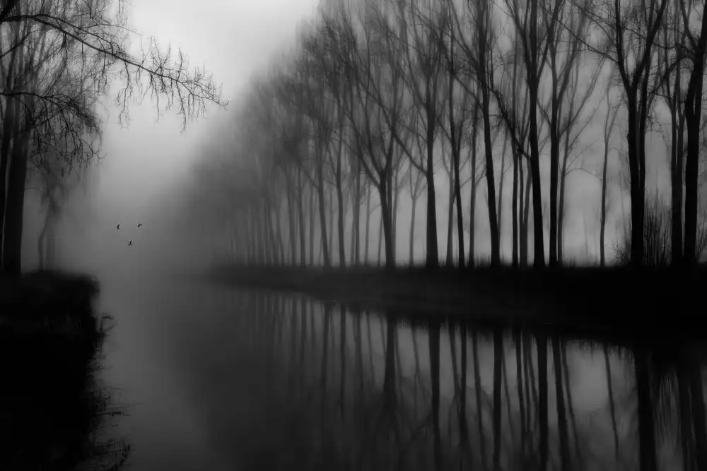 Massetti, Fabrizio: Wonderful canal