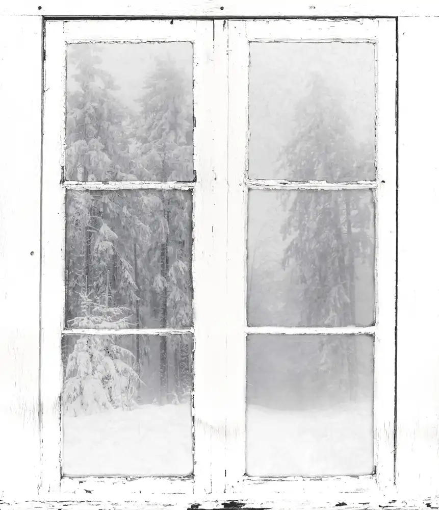 Kleimann, Stephanie: Winter