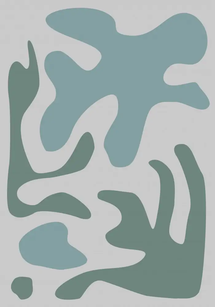 Studio, Pictufy: Alghe marine n. 2