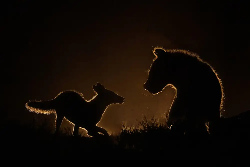 Wei, and Siyu: Rencontre la nuit