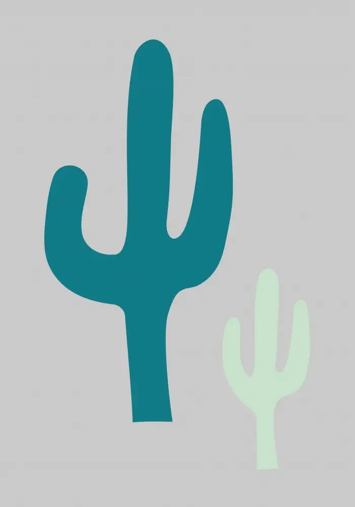 Studio, Pictufy: Cactus grigio