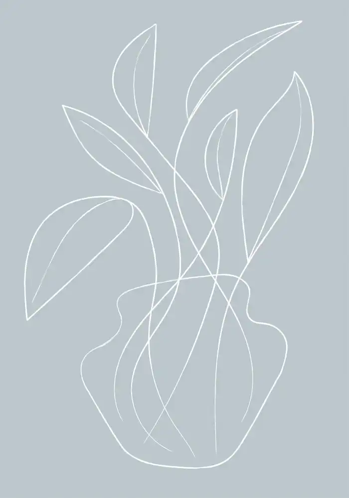 Studio, Pictufy: Linee di vasi
