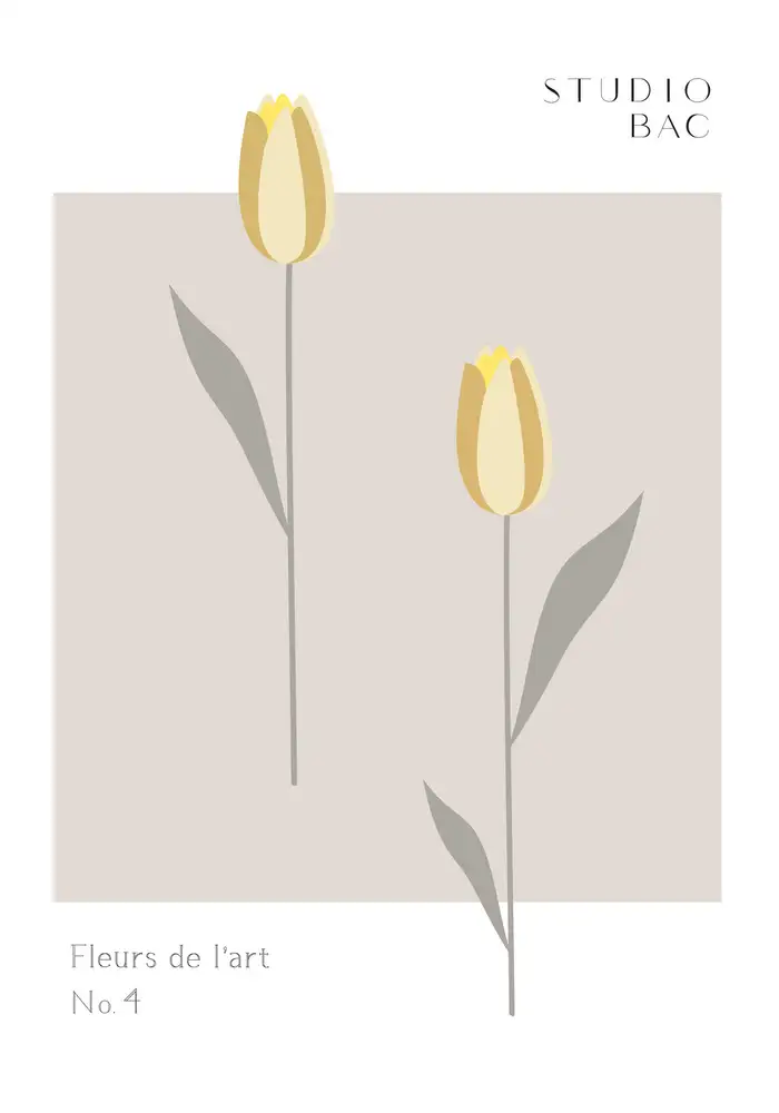 Studio, Pictufy: Tulips Studio Bac