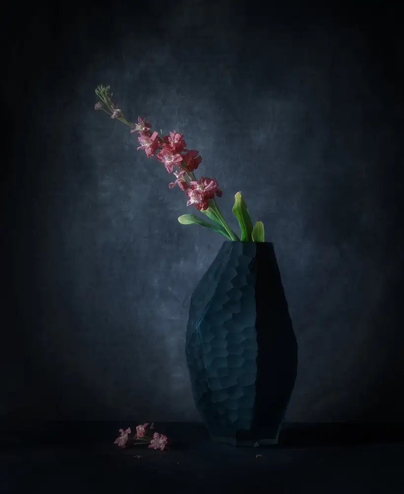 May, G.: Matthiola Incana con un jarrón de roca