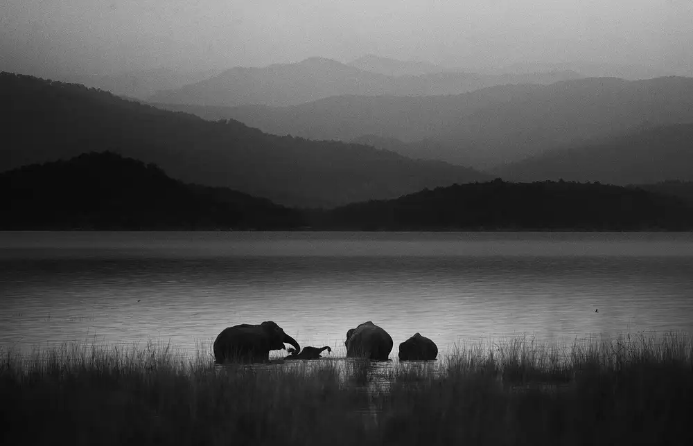 Swapnil: Moods of family