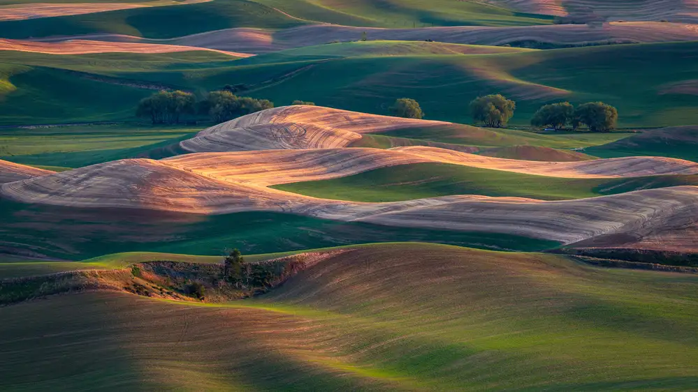 Zhang, Dennis: Farmland at sunset
