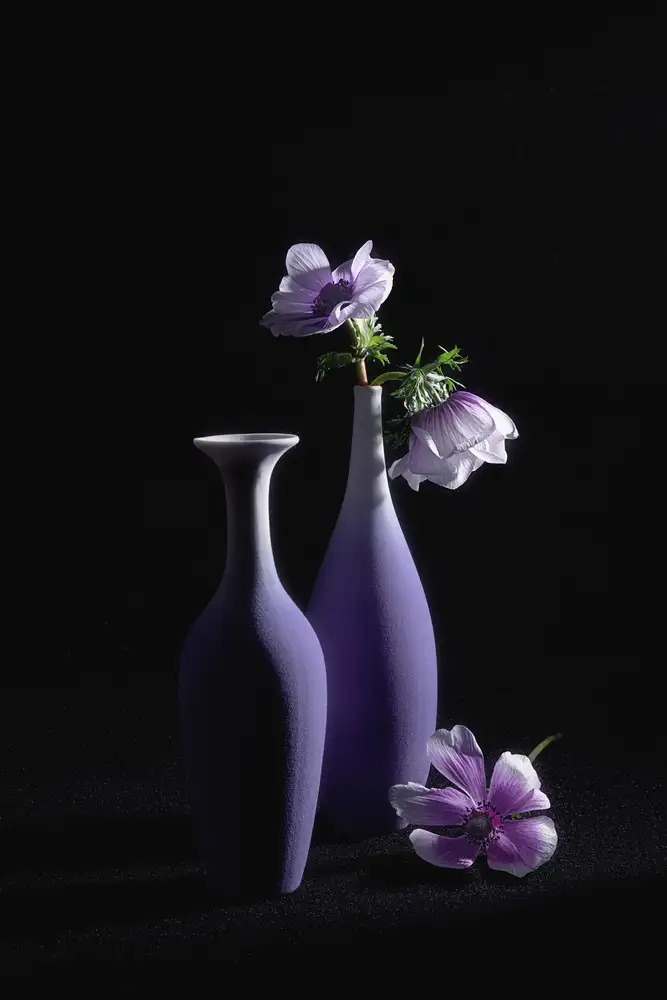 Jacobs, Lydia: Tema piuttosto viola