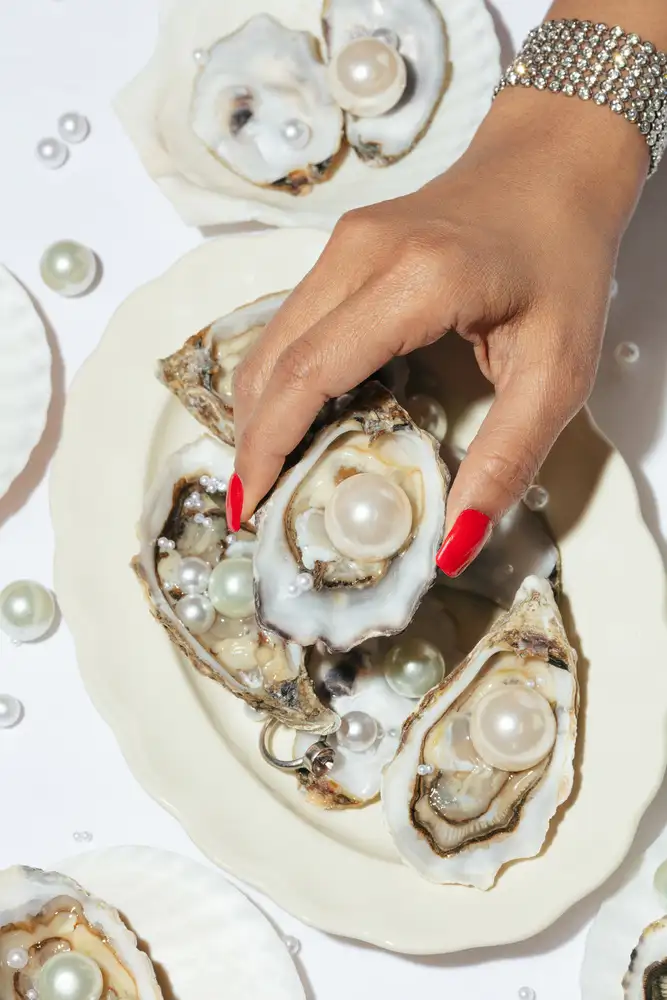 Studio, Pictufy: Oysters & Pearls No 02