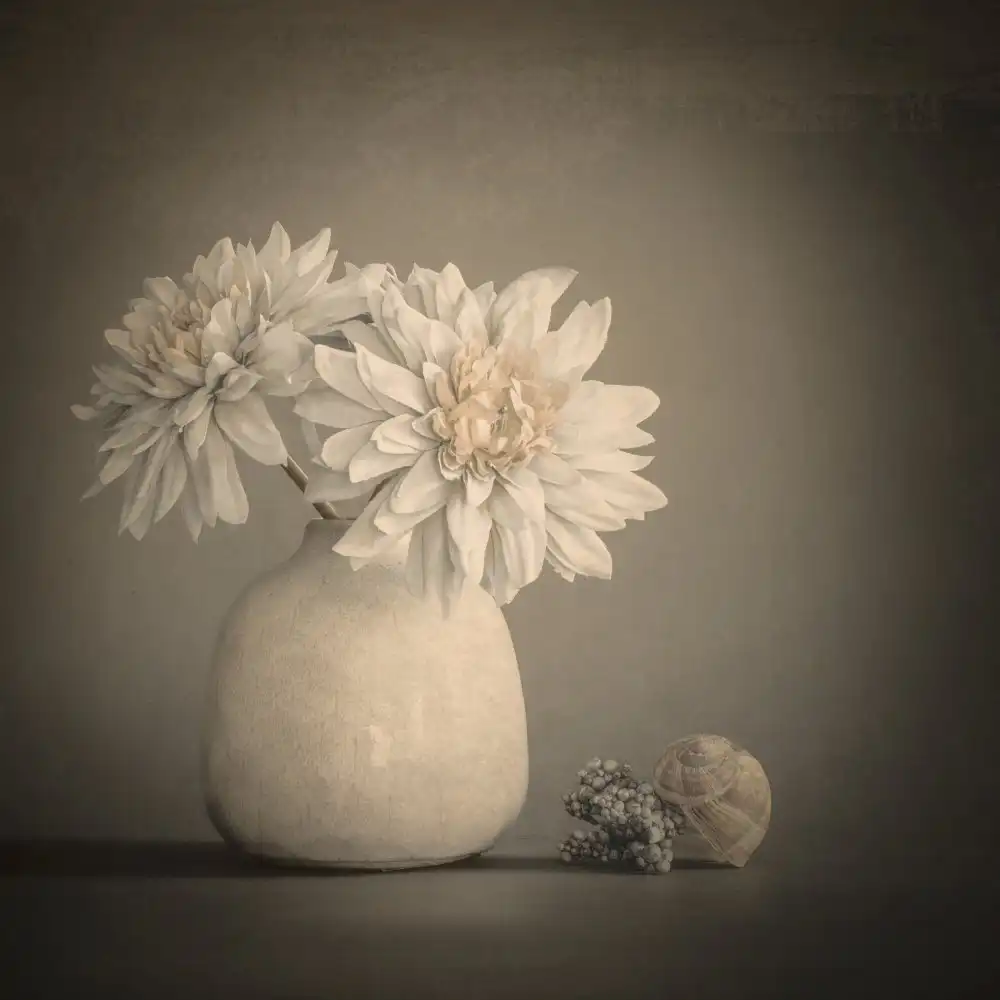 Kiral, Cicek: Blanc et fin