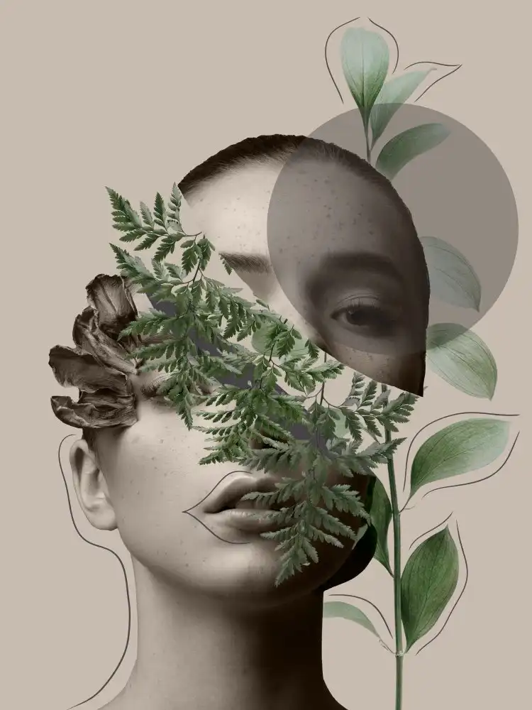 Leila: Serie de arte creativo de la colección Lili