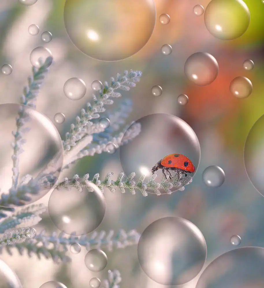 Dufour, Thierry: Al riparo nella sua bolla...