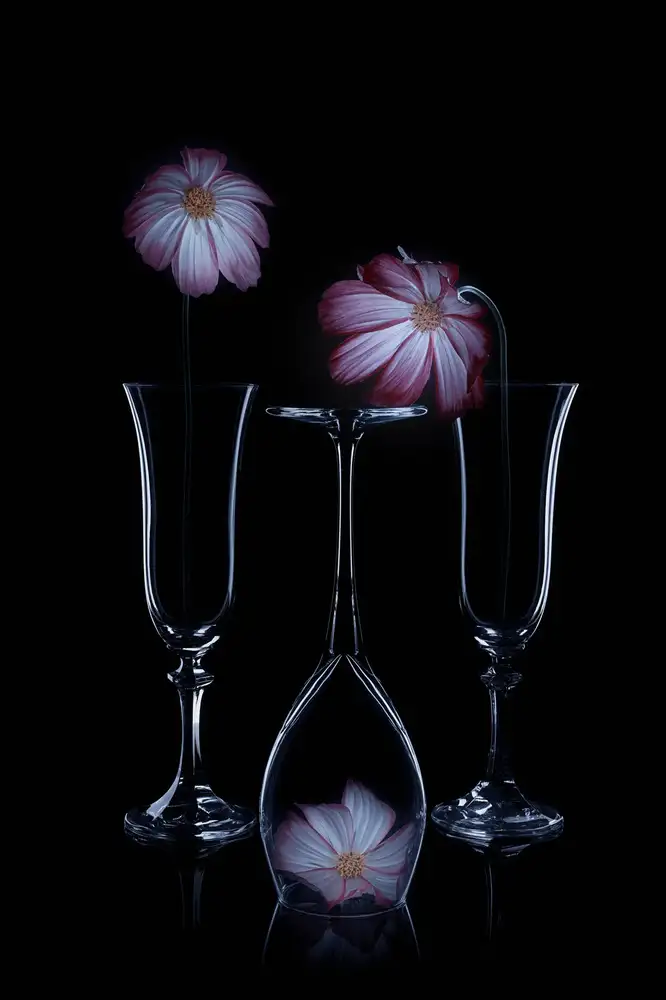 Jacobs, Lydia: Trois Cosmos
