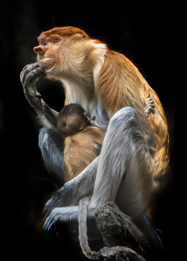Bunjamin, Antonyus: Madre amorevole
