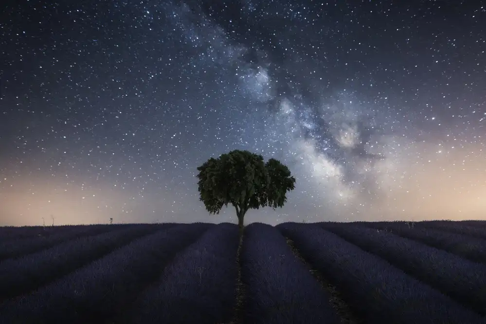 Dueso, Ruiz Jorge: Tree and Milky Way