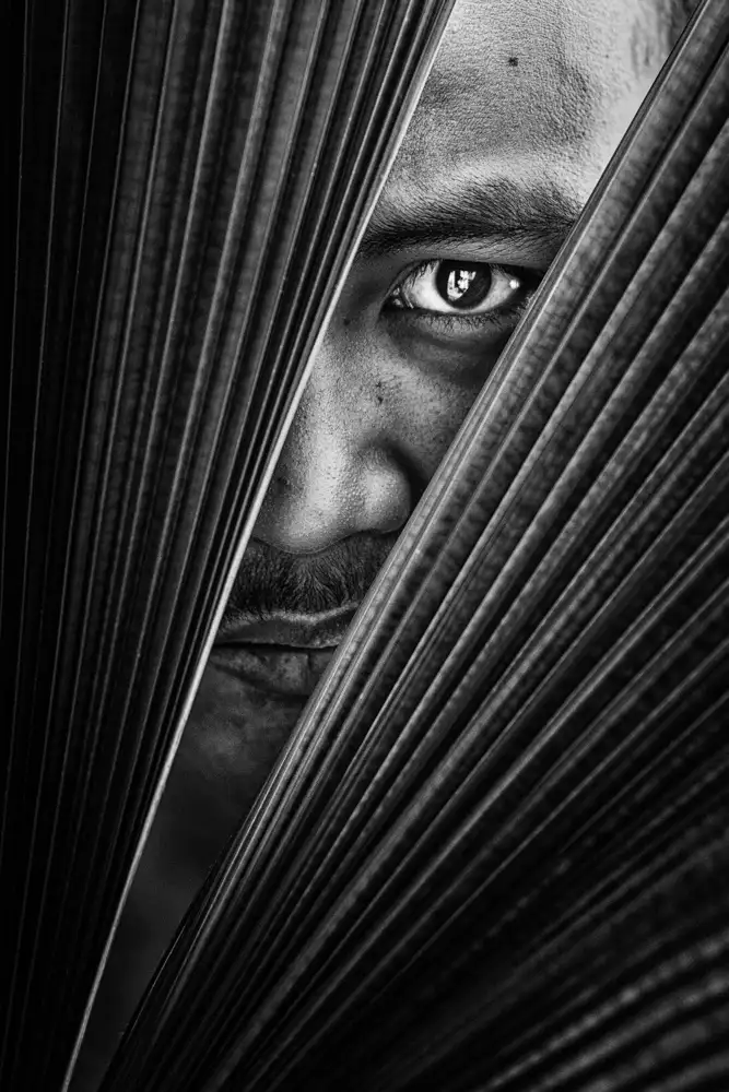 Halil, Andi: The Eye
