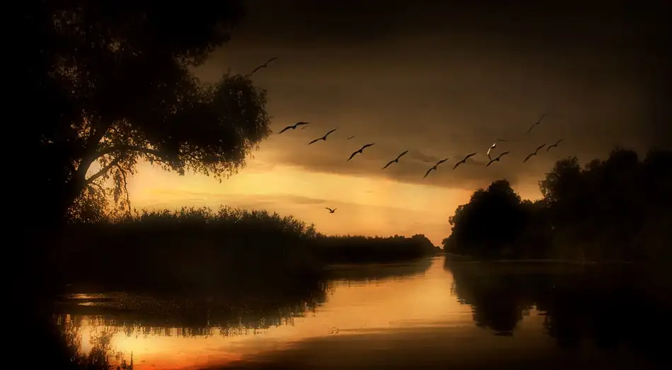 Bosogea-Tudor, Ileana: Delta del Danubio
