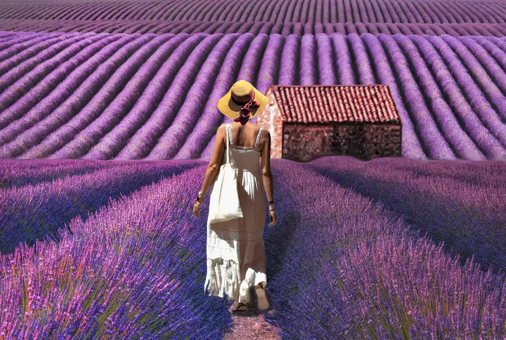 Bacus, Pierre: le cabanon provensálský