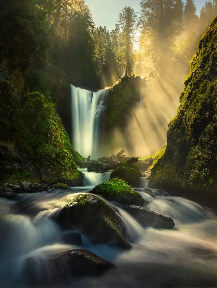 P., Ruiqing: Misty Creek cade Creek