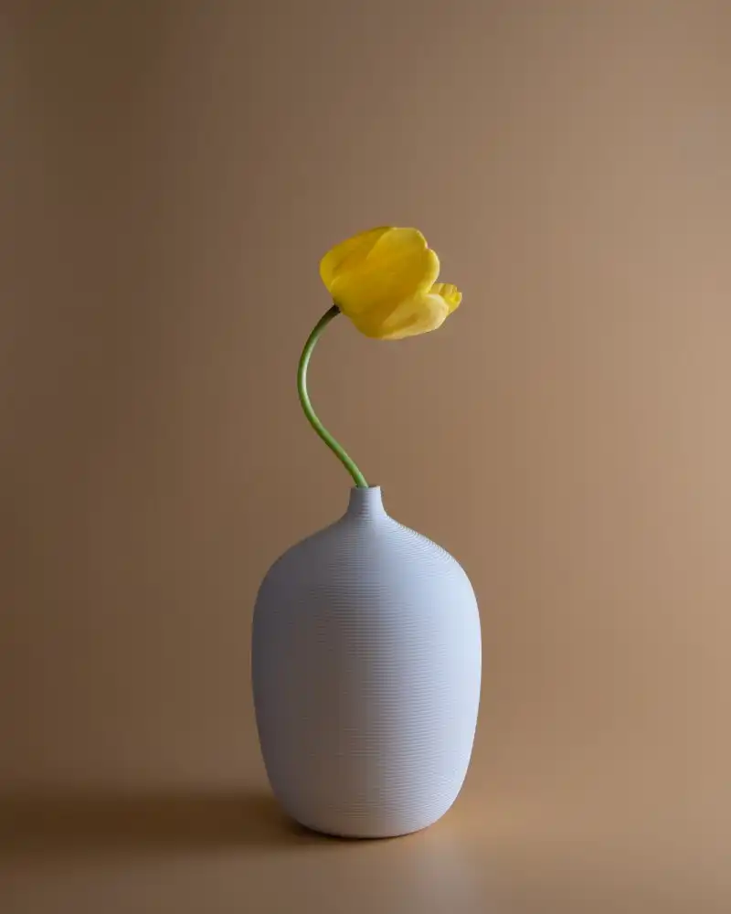 Li, Qing: Tulipán