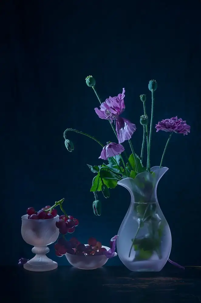 Jacobs, Lydia: Violet Doux