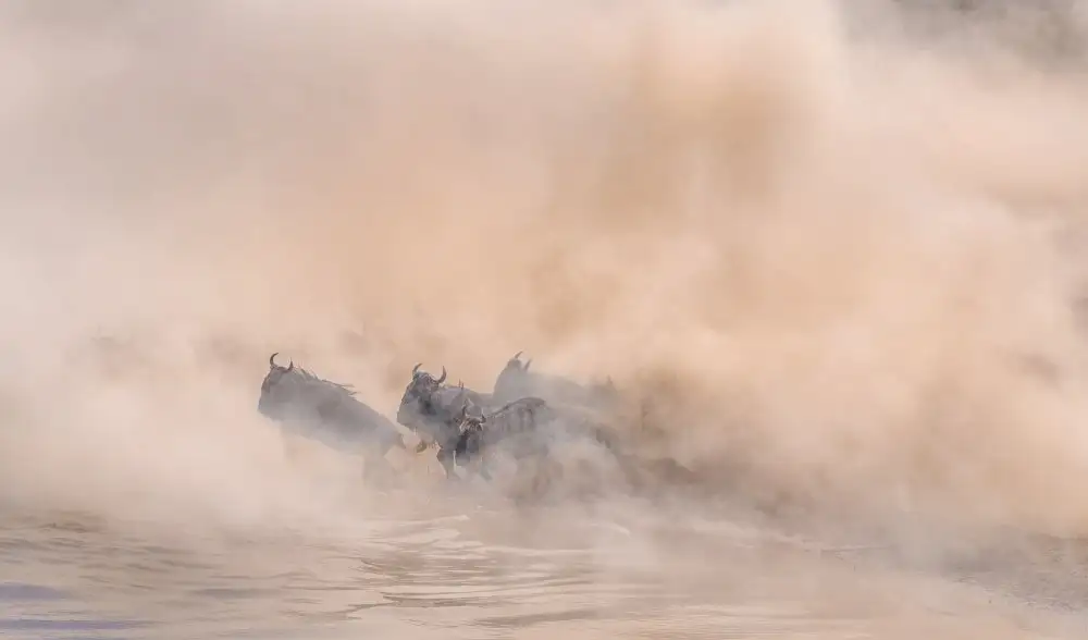 Lu, Jennifer: Great migration (crossing river)