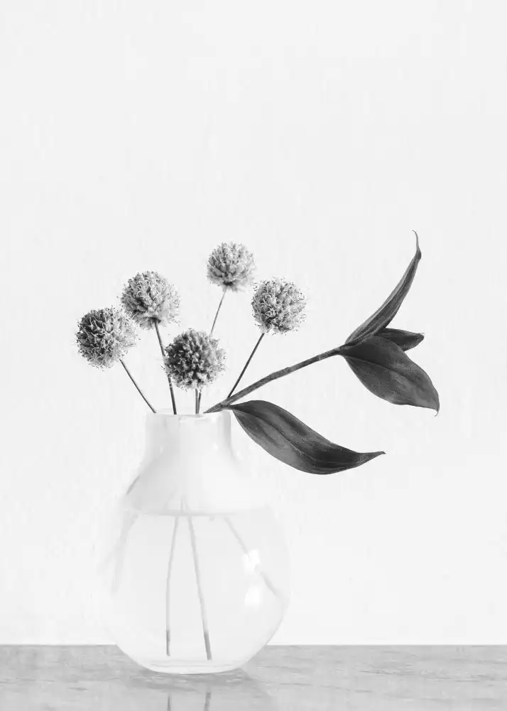 Studio, Pictufy: Vase_ chives flower