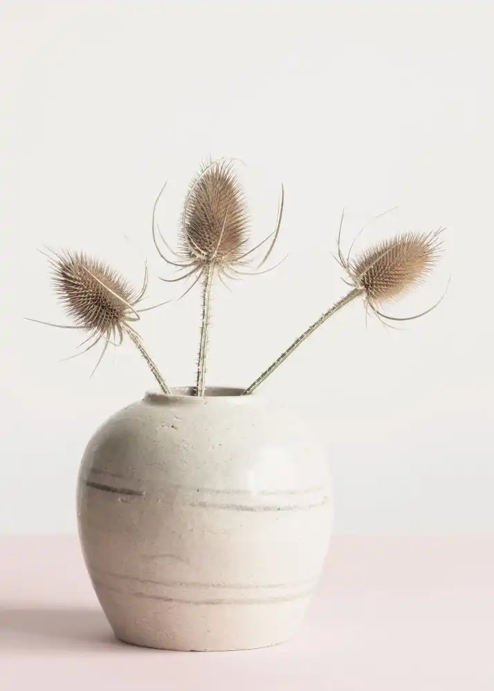 Studio, Pictufy: Dried flowers in vase