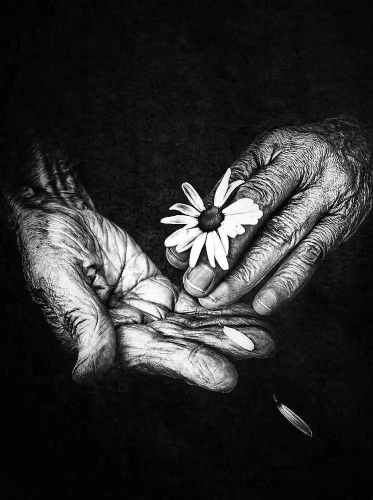 Urbonavičienė, Ingrida: Jahre so zerbrechlich wie Blumen
