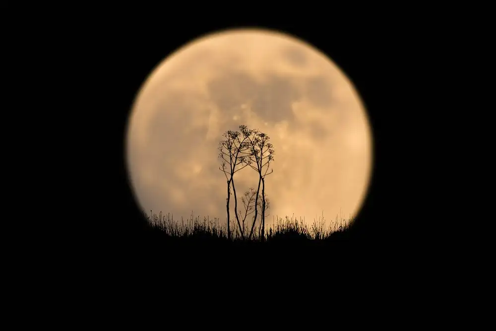 Or, Bar Eyal: Guarda la luna!