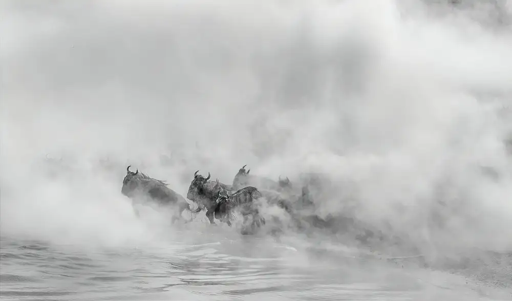 Lu, Jennifer: Out of Dust     (Great Migration -crossing river)
