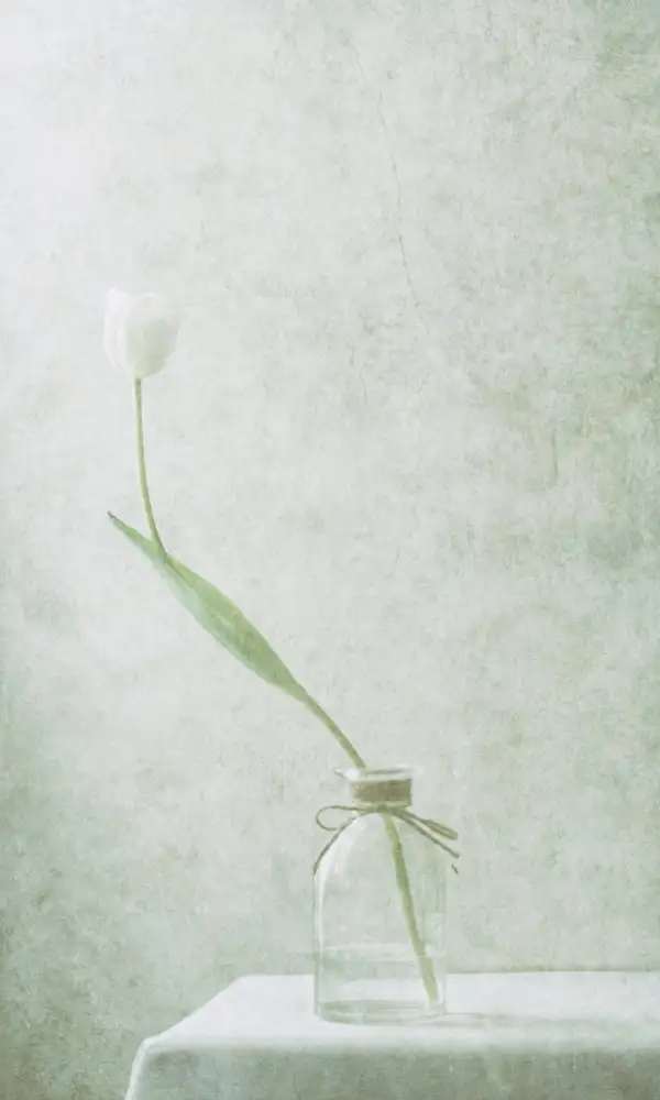 Devos, Delphine: Blanc éphémère (2)