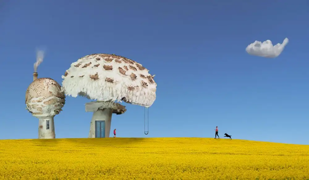 Hammer, Peter: Maisons de champignons
