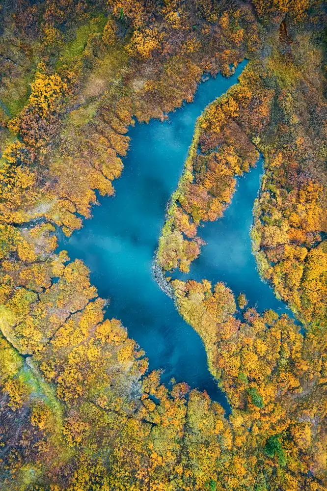 Xu, Mei: Schwimmen im Herbst