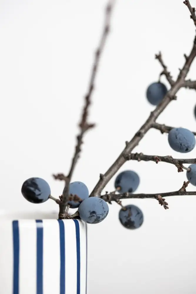 Studio, Pictufy: Berries Blue