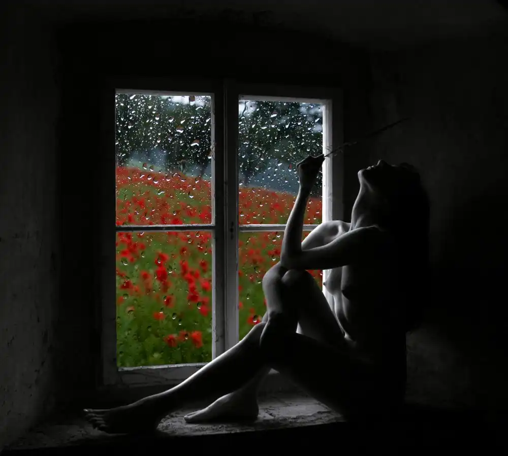 Garik: Dream