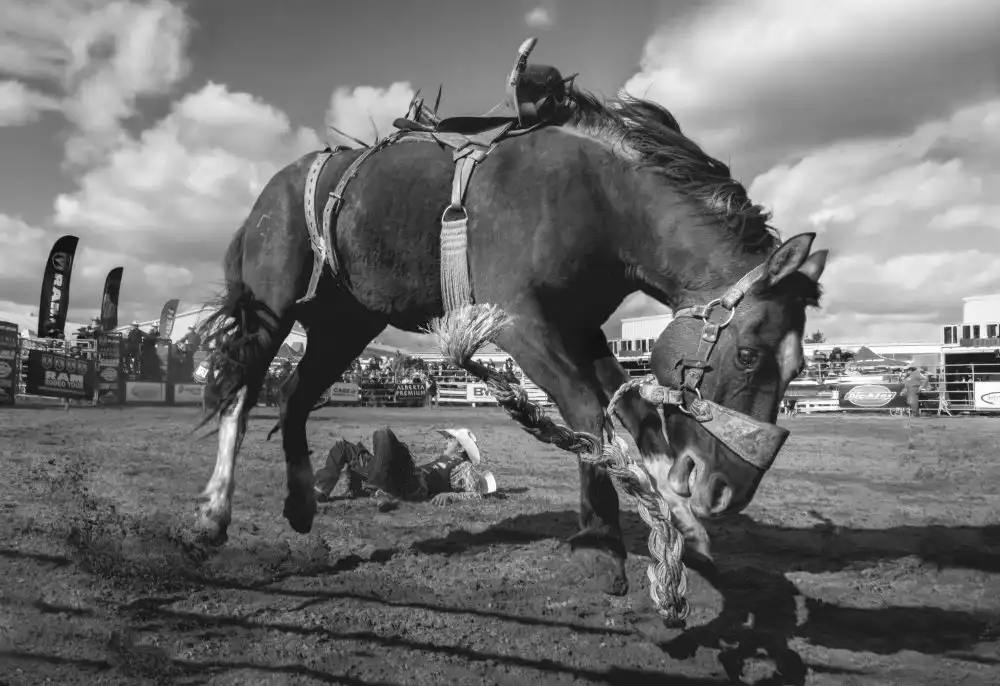 Deng, Larry: Rodeo