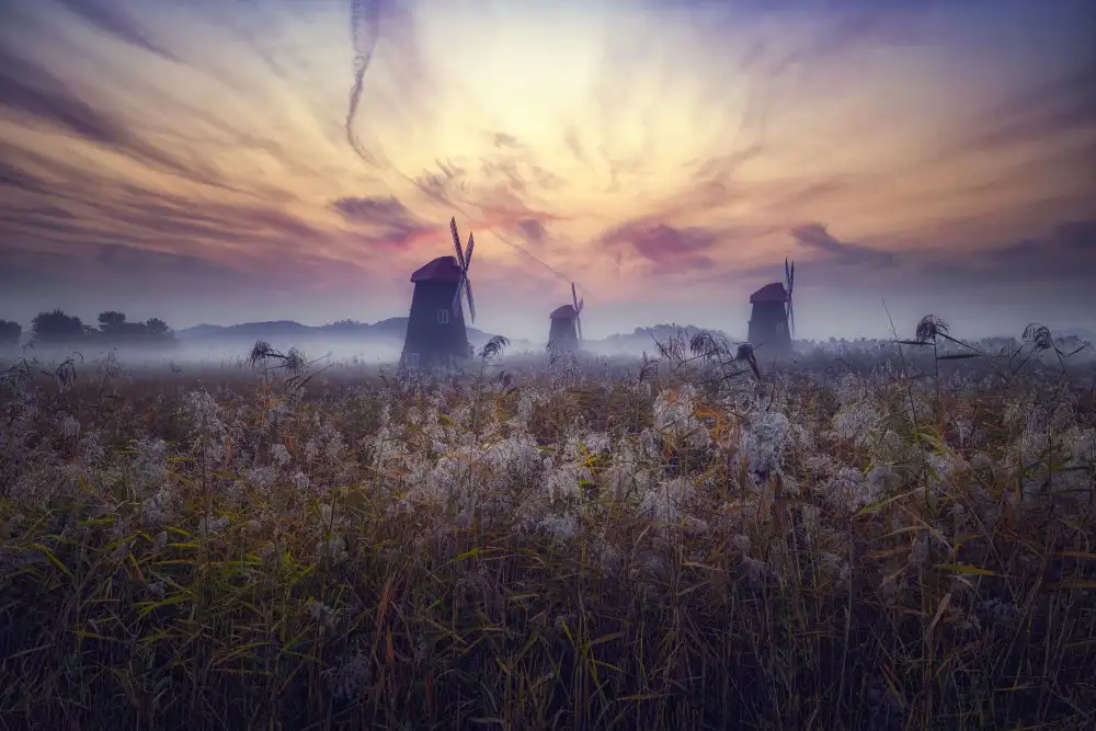 Seo, Tiger: Morning of Sorae
