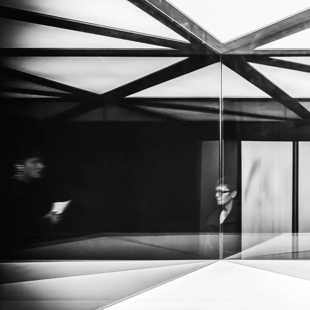 (laGrange), Vangindertael Luc: Perdu dans les miroirs