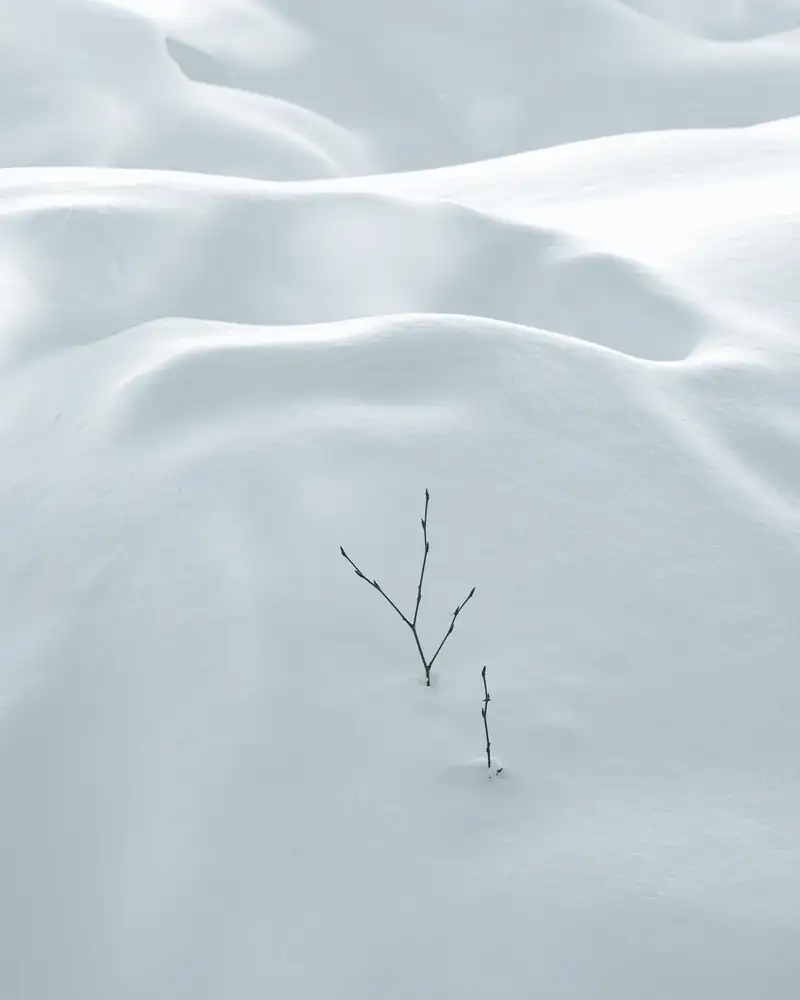Prybinski, Miroslaw: Minimalismo
