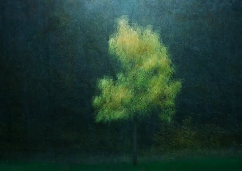 Holmström, Katarina: Vergilbung