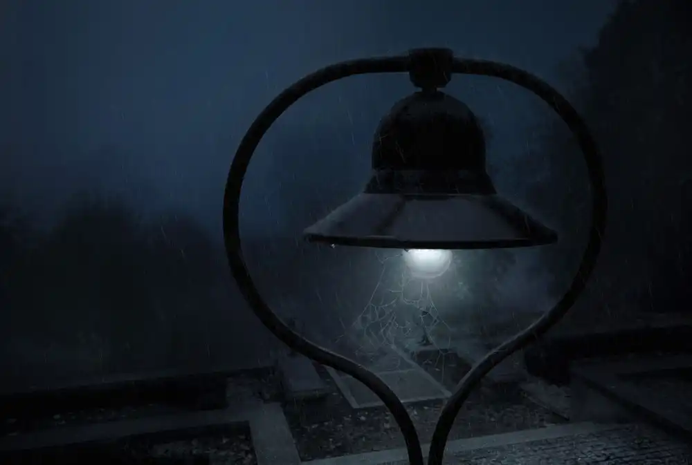 Derangowski, Lukasz: Abandoned spiderweb