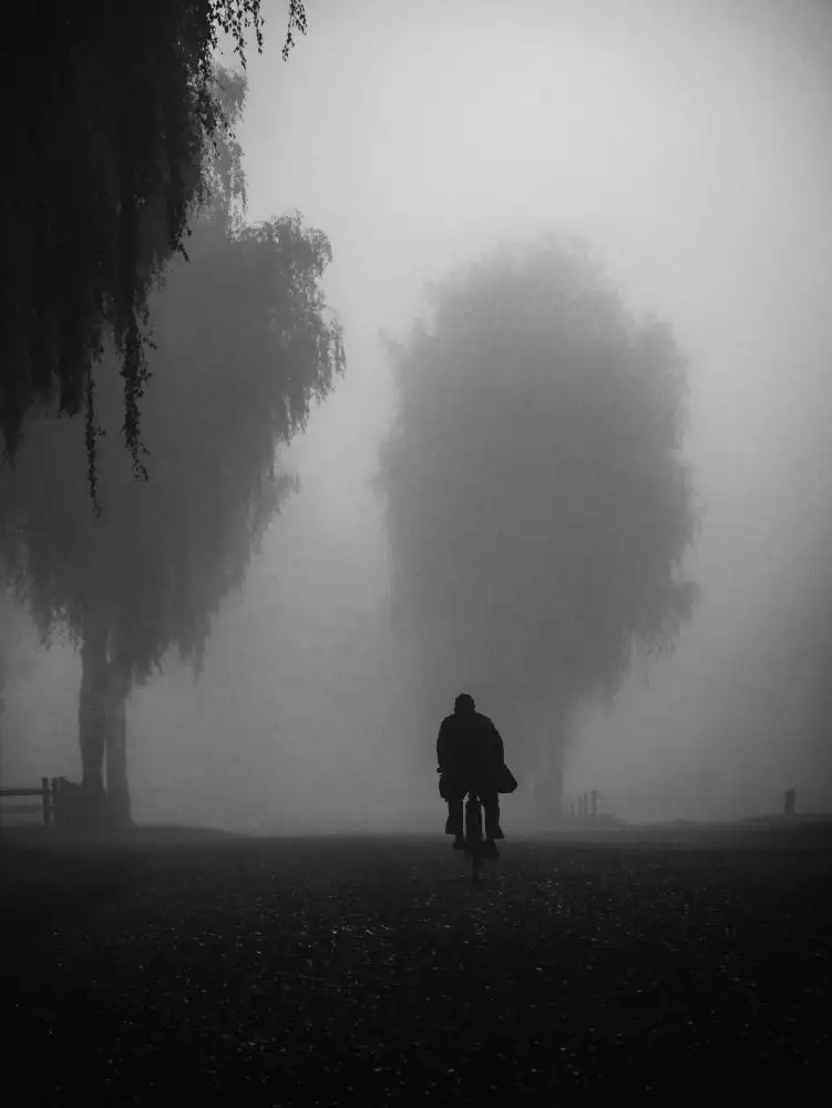 Wasinger, Renate: sunday morning