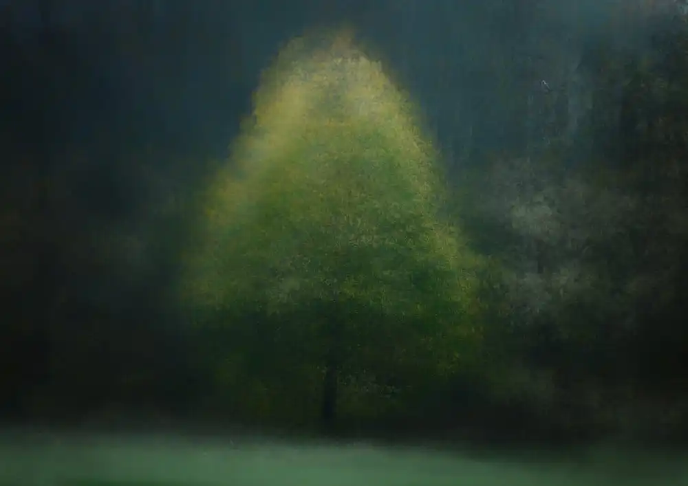 Holmström, Katarina: Dohle im Wald