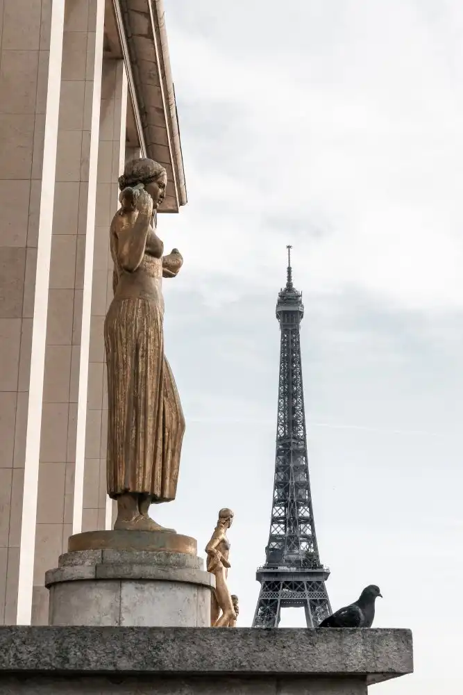 Studio, Pictufy: Eiffel Tower Paris