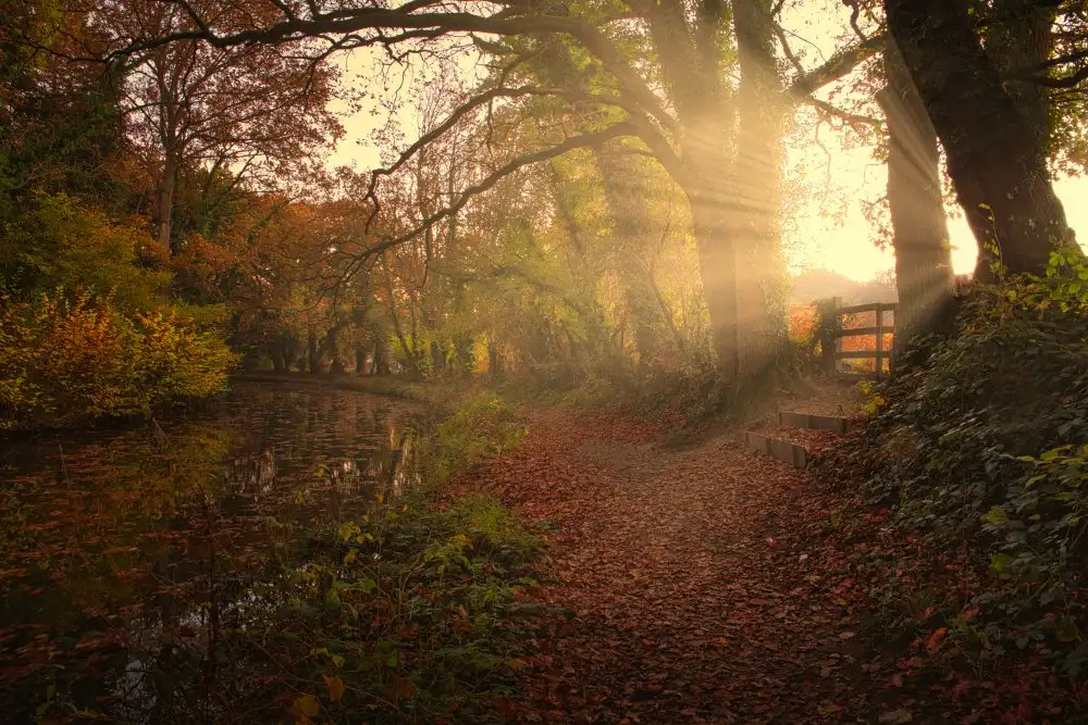 Davidson, Peter: Tramonto sul canale