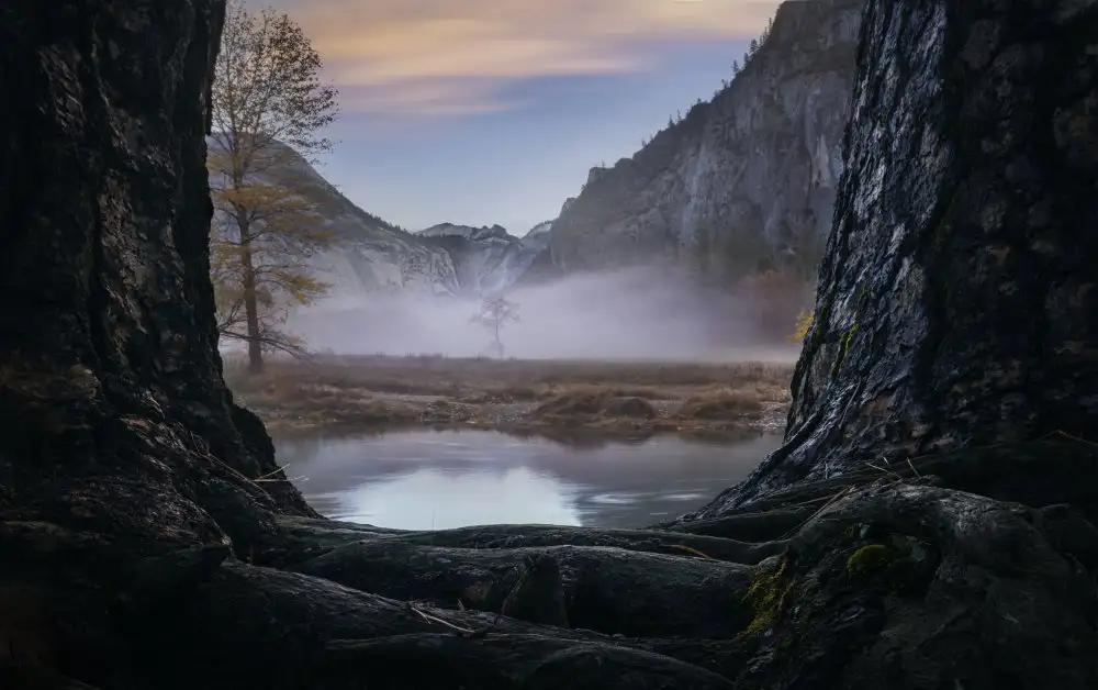 Zhang, Joan: Un matin brumeux à Yosemite