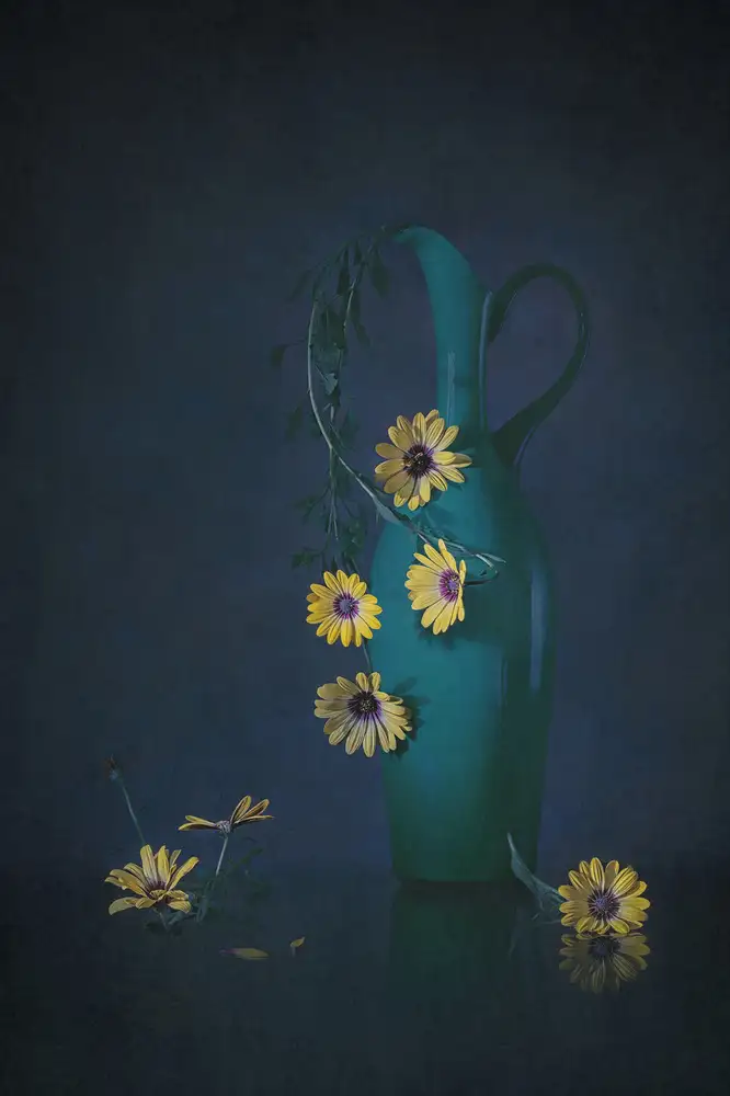 Jacobs, Lydia: Marguerites jaunes